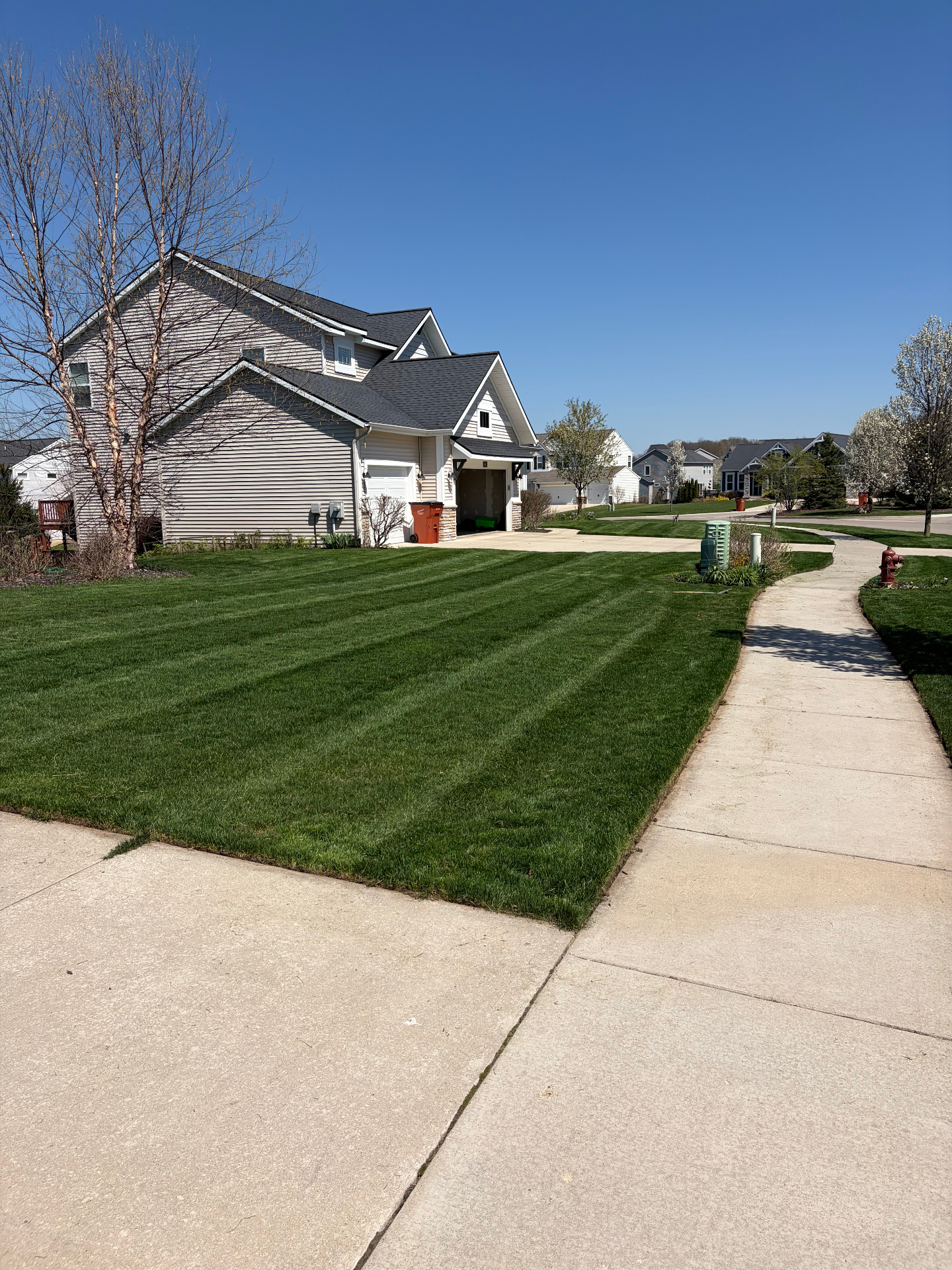 Striped lawn beside a sidewalk and home driveway